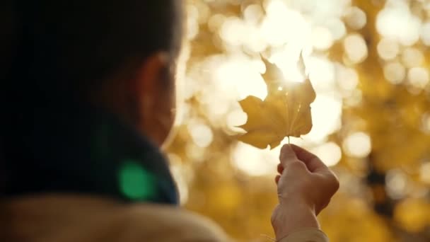 一只女人的手在灿烂的阳光下握住一片黄色的秋叶 走在秋天的公园里 秋天的背景高质量的4K镜头 — 图库视频影像