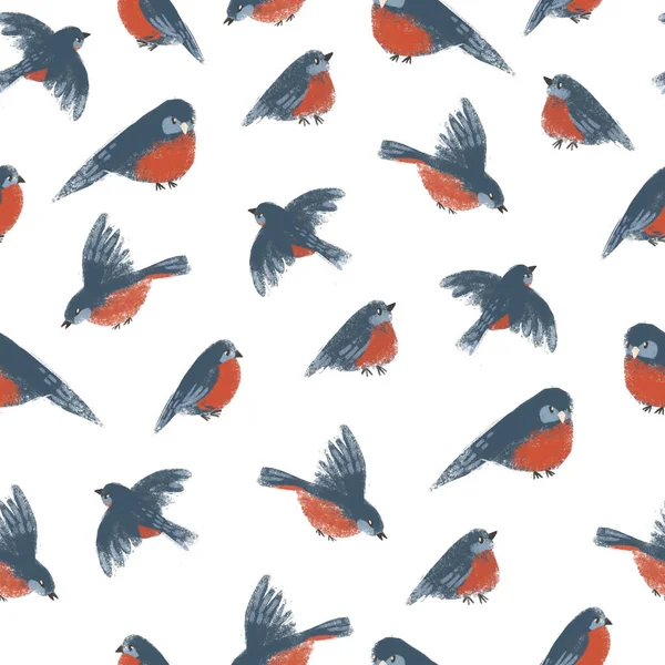 Bezproblémový Vzor Ručně Kreslenými Zimními Ptáky Stylová Ilustrace Ideální Pro — Stock fotografie