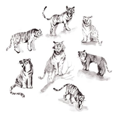 Japon tarzında suluboya el kaplanları çizerdi. Sumi-e resim. Çin burcu.