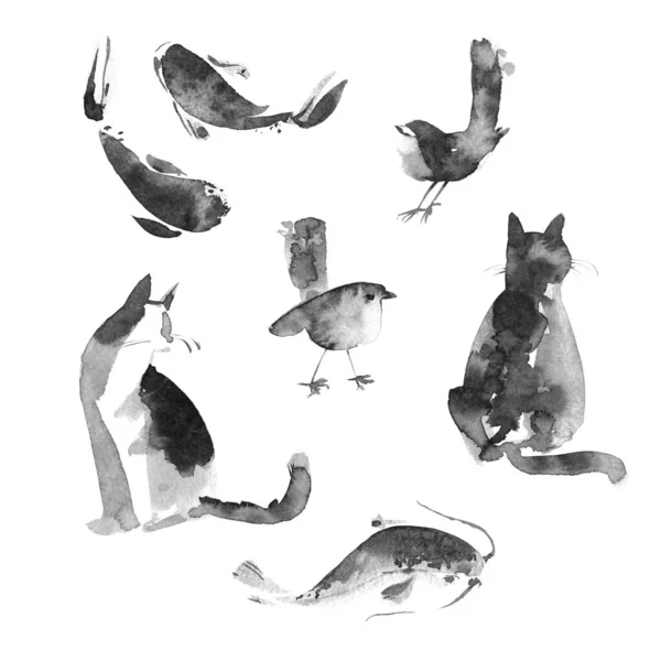 Sumi Állatokat Fest Macska Hal Madár Gyönyörű Kézzel Rajzolt Illusztráció — Stock Fotó