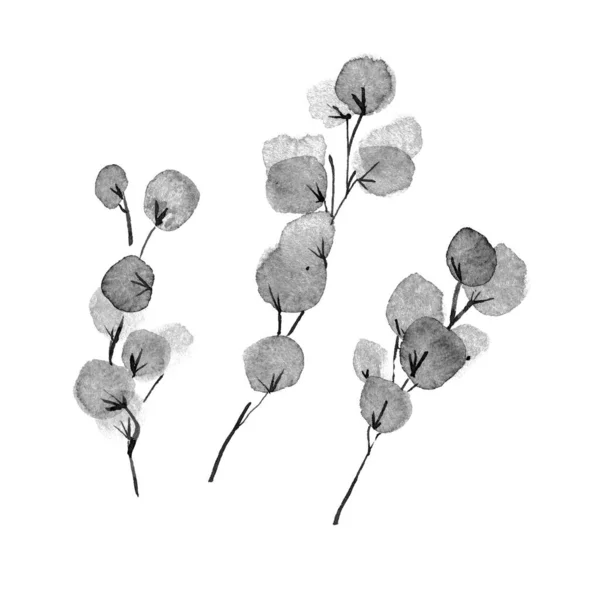 Sumi Inkt Schilderen Bladeren Takken Minimalisme Zen Stijl Aquarelillustratie — Stockfoto