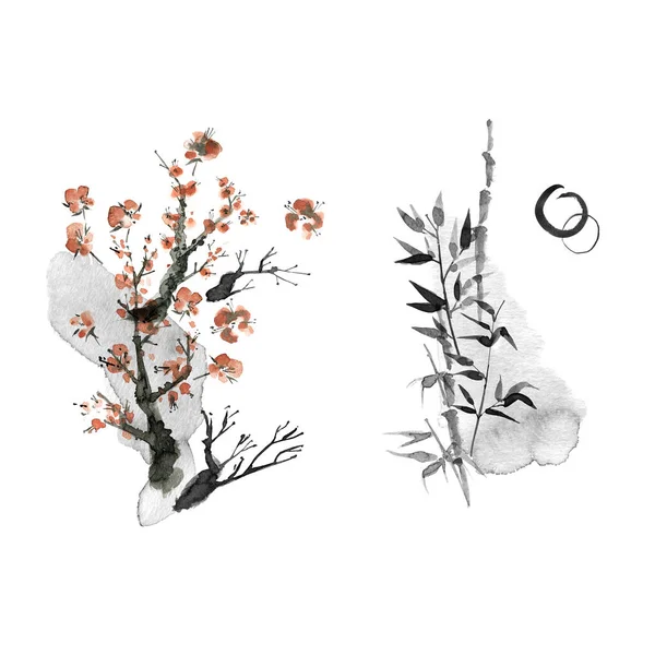 Malowane Tuszem Kompozycje Roślinami Gałęziami Plamami Ręcznie Rysowane Ilustracje — Zdjęcie stockowe