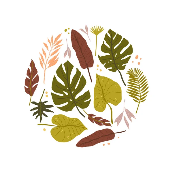 Feuilles Palmier Tropicales Esprit Jungle Fougère Isolée Monstère Autres Feuilles — Image vectorielle