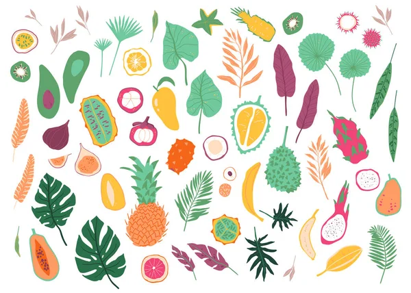 Colección Frutas Tropicales Hojas Selva Frutas Aisladas Brillantes Jugosas Estilo — Vector de stock