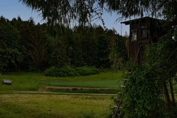 Malerischer Blick Auf Die Outdoor Szene — Stockfoto