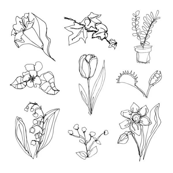 Doodle conjunto com elementos de flores em um estilo de linha — Vetor de Stock
