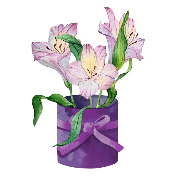 中にはアルロメリアの花が入った水彩紫色の箱 — ストックベクタ