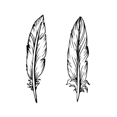 El çizimi siyah tüyler. Etnik boho tarzı el çizimi.