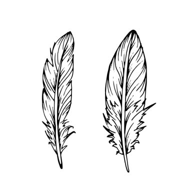 El çizimi siyah tüyler. Etnik boho tarzı el çizimi.