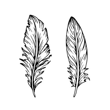 El çizimi siyah tüyler. Etnik boho tarzı el çizimi.