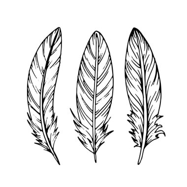 El çizimi siyah tüyler. Etnik boho tarzı el çizimi.