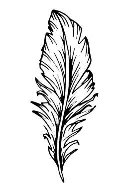 El çizimi siyah tüy. Etnik boho tarzı el çizimi.