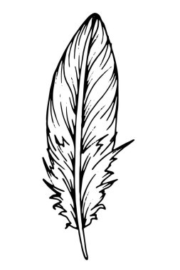 El çizimi siyah tüy. Etnik boho tarzı el çizimi.