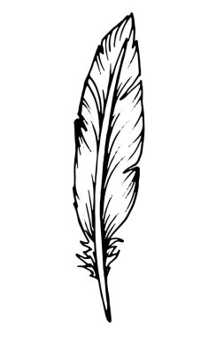 El çizimi siyah tüy. Etnik boho tarzı el çizimi.