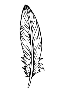 El çizimi siyah tüy. Etnik boho tarzı el çizimi.