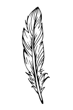 El çizimi siyah tüy. Etnik boho tarzı el çizimi.