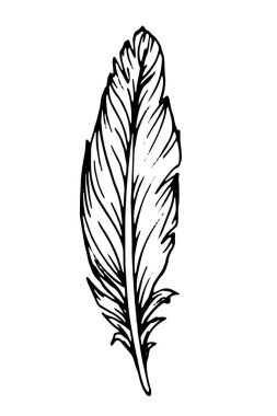 El çizimi siyah tüy. Etnik boho tarzı el çizimi.