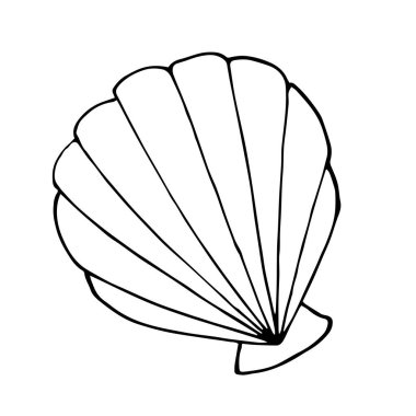 Beyaz arkaplanda izole edilmiş grafiksel deniz kabuğu