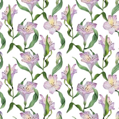 Kusursuz suluboya çiçek deseni - yeşil yapraklar ve beyaz arka planda mor alstroemeria kompozisyonu