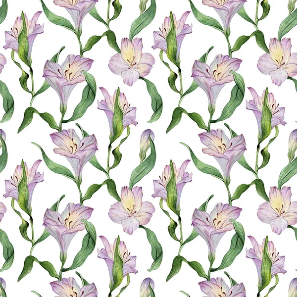 Seamless watercolor floral pattern - green leaves and purple alstroemeria composition on white background — Stockfoto