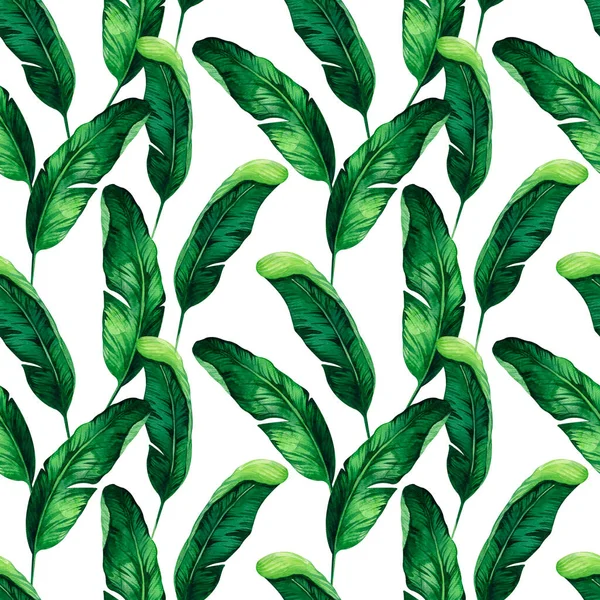 Seamless watercolor floral pattern - green leaves and branches composition on white background, Tropical fresh leaves — стоковое фото
