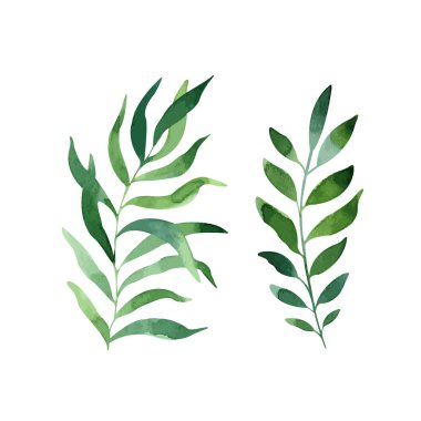 Taze tropik palmiye yapraklarıyla suluboya seti