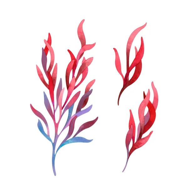 Aquarelle sertie de feuilles rouges tropicales fraîches — Image vectorielle