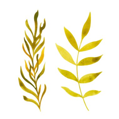 Renkli sonbahar yapraklarıyla suluboya seti