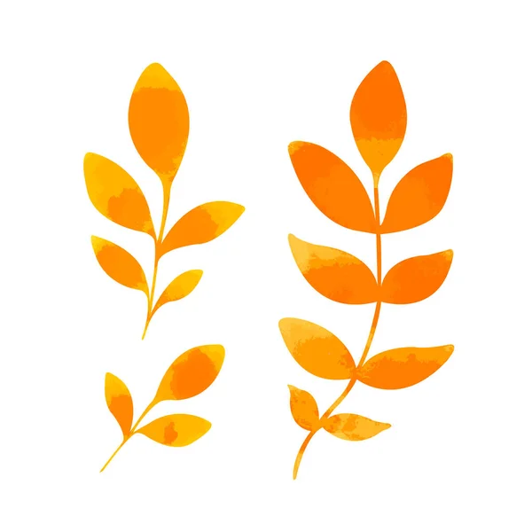 Акварельний набір з барвистим осіннім листям — стоковий вектор