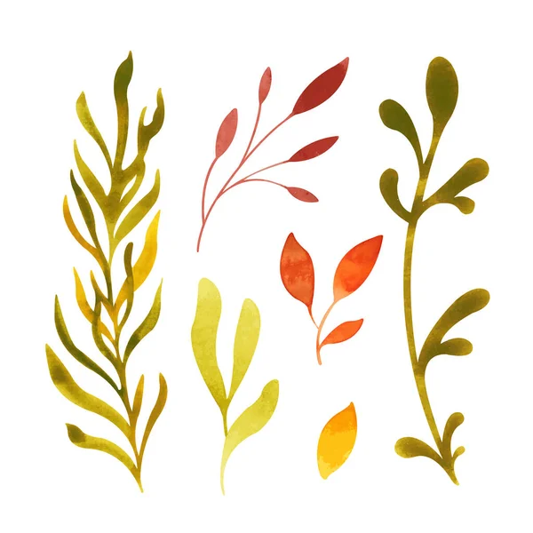 Watercolor set with colorful autumn leaves — Vetor de Stock