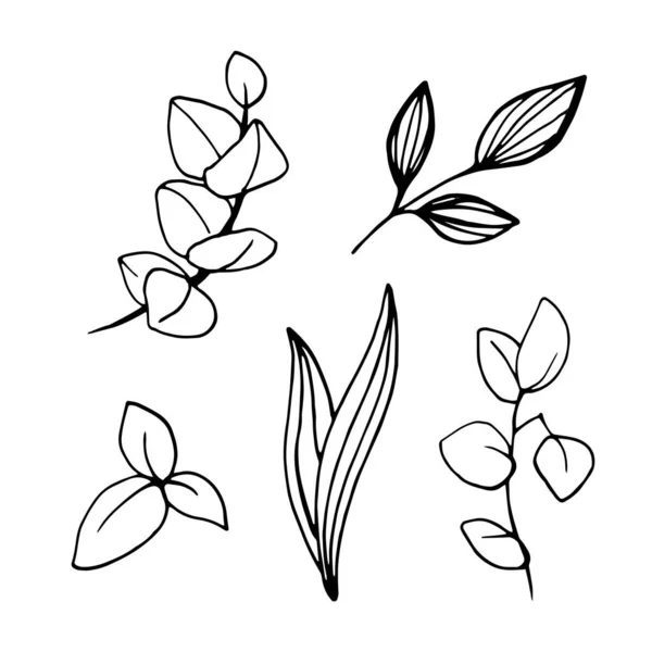 Set de Doodle con elementos florales en un estilo de línea — Archivo Imágenes Vectoriales