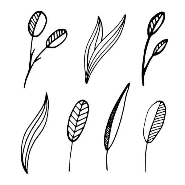 Set de Doodle con elementos florales en un estilo de línea — Vector de stock