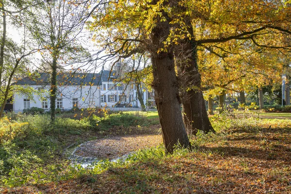 Krajobraz Wschodzie Holandii Wysokiej Jakości Zdjęcie Pola Wschodzie Holandii Pobliżu — Zdjęcie stockowe