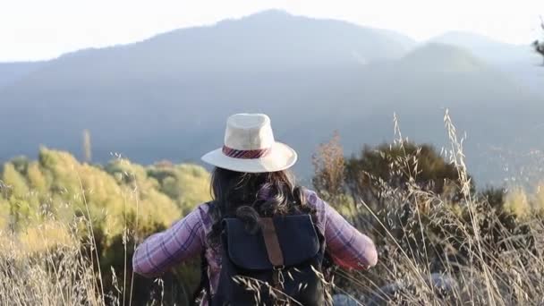 Unrecognizable woman with a backpack on and a summer hat, raising her arms in victory. Single traveler — Video