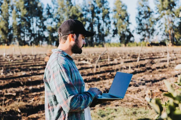 Genç latin çiftçi tarlasının ortasında dizüstü bilgisayarıyla telgraf çekiyor. Tarım sürdürülebilirliği. Kablosuz