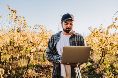 Genç Latin çiftçi, üzüm bağı tarlasının ortasında dizüstü bilgisayarıyla telgraf çekiyor. Tarım sürdürülebilirliği