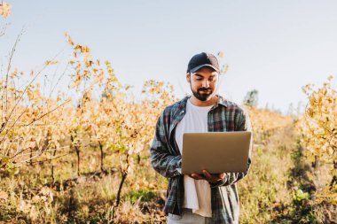 Genç Latin çiftçi, üzüm bağı tarlasının ortasında dizüstü bilgisayarıyla telgraf çekiyor. Tarım sürdürülebilirliği