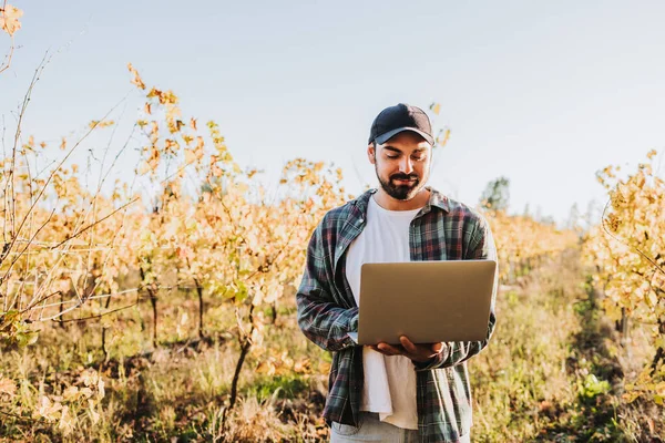 Genç Latin çiftçi, üzüm bağı tarlasının ortasında dizüstü bilgisayarıyla telgraf çekiyor. Tarım sürdürülebilirliği
