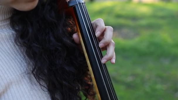 Close Standing Woman Playing Cello Sunset Park Green Grass Copy — Stockvideo