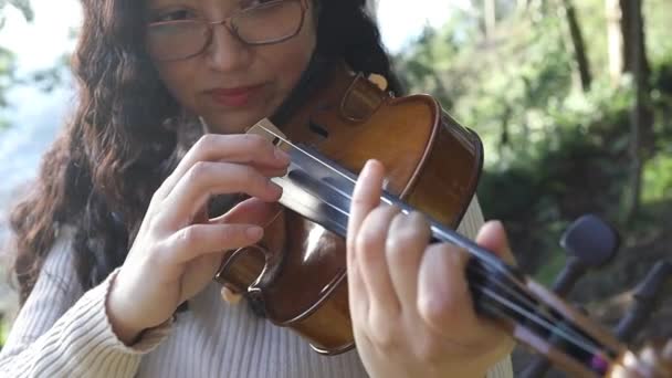 Foto Ravvicinata Una Bruna Riccia Che Tecnica Pizzicato Violino All — Video Stock