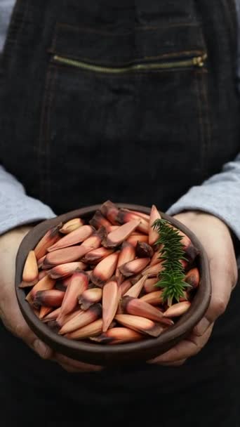 Unrecognizable Woman Holding Clay Bowl Chilean Pine Nuts Araucaria Tree — Vídeo de stock