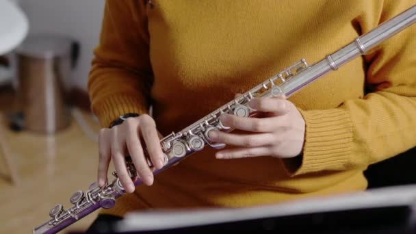 Brunette Woman Wearing Yellow Sweater Playing Transverse Flute High Quality — Stok video