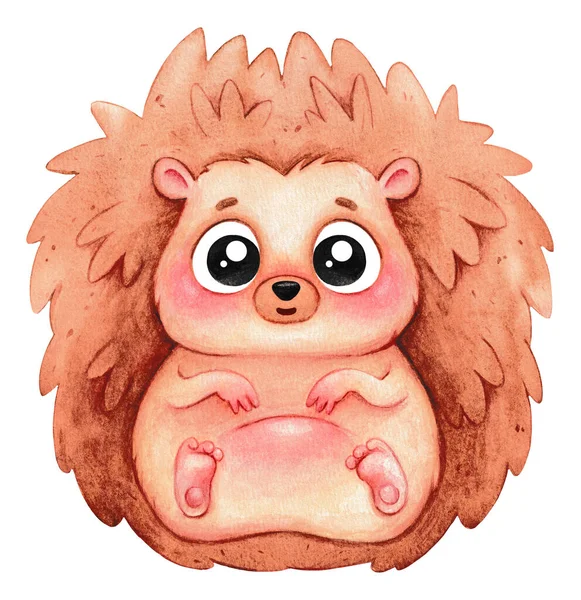 Hedgehog White Background Watercolor Illustration Decor Children Room Sticker Cute — Stockfoto