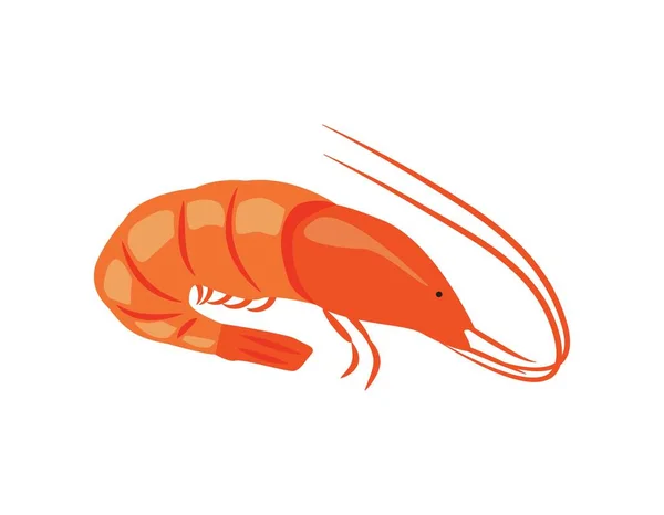 Flat Style Shrimp Fresh Seafood Vector Illustration Menu Fish Restaurants — Vetor de Stock