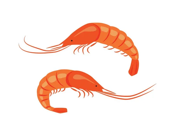 Set Shrimp Shell Seafood Hand Drawn Style Flat Vector Illustration — Vetor de Stock
