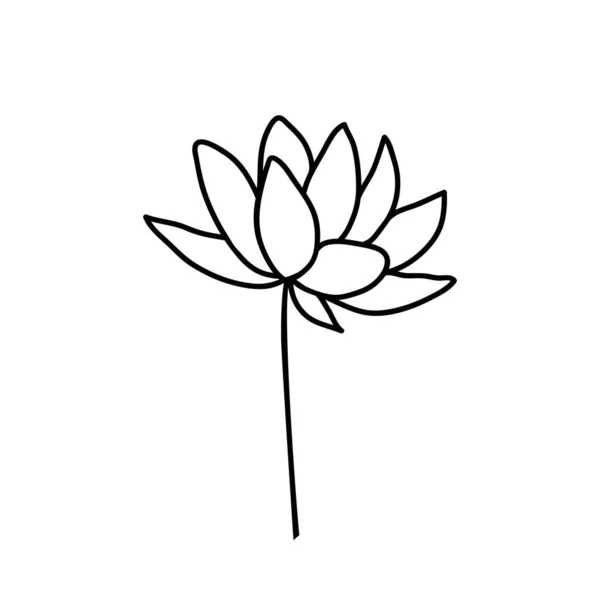 Lilie Tattoo Vector Art Stock Images ページ 11 Depositphotos