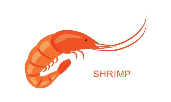 Vector Illustration Shrimp Seafood Fish Restaurant Menus Packaging Markets Shops — Stock Vector