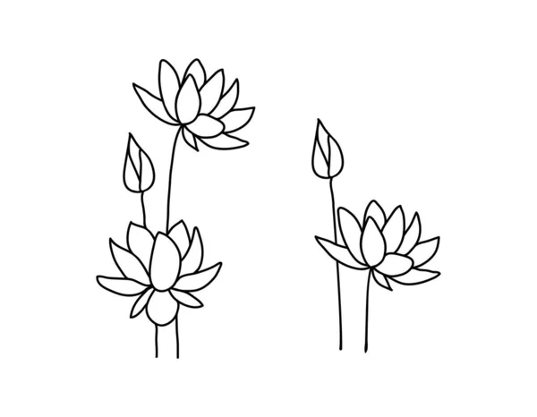 Set Vorhanden Vektor Lotusblumen Doodle Stil Gezeichnet Mit Einem Umriss — Stockvektor