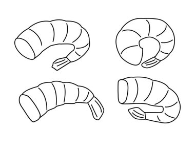 Hazır, karides kabuğu karalamalı. Vektör illüstrasyonu, beyaz arkaplanda bir çizimle çizilmiş. Deniz ürünleri logosu, restoranlar, menü için.