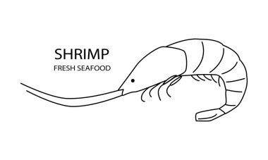 Karides. Vektör illüstrasyonu, beyaz arkaplanda bir çizimle çizilmiş. Doodle tarzı. Deniz ürünleri logosu, restoranlar, menü için.